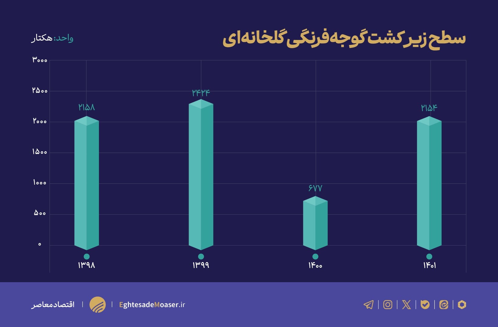 سرمازدگی، عامل اصلی گرانی گوجهفرنگی/ آیا تولید کشور مطلوب است؟ سرمازدگی، عامل اصلی گرانی گوجهفرنگی/ آیا تولید کشور مطلوب است؟