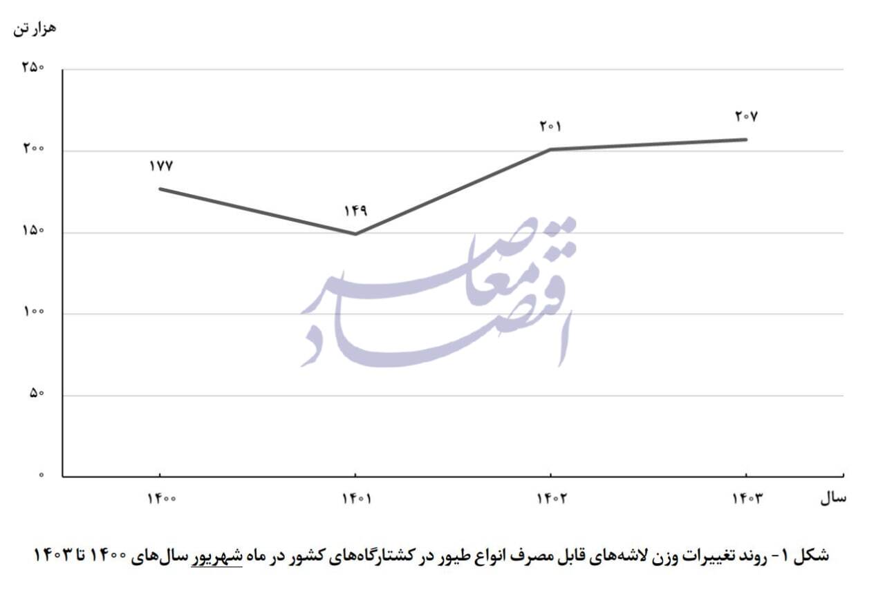 عرضه 207 هزار تن گوشت طیور به کشتارگاهها کشور در شهریور عرضه 207 هزار تن گوشت طیور به کشتارگاهها کشور در شهریور