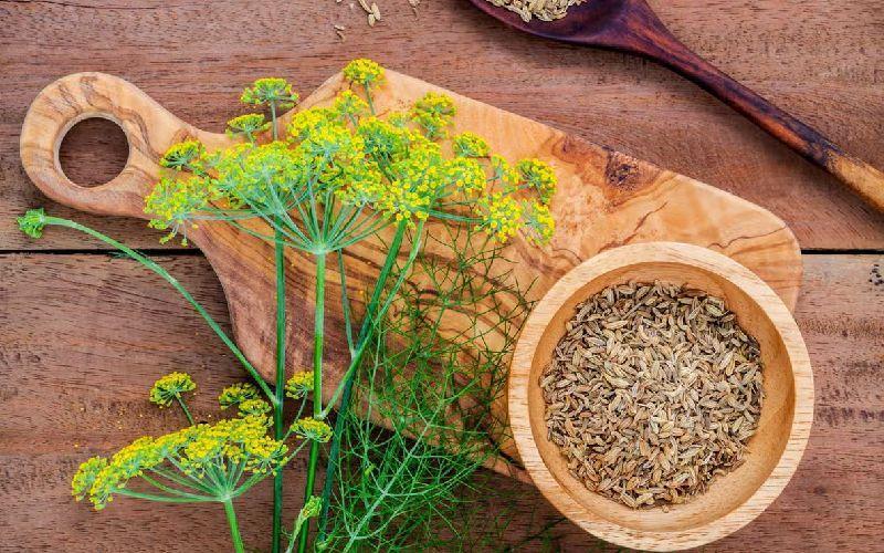 داروی گیاهی برای کشتن میکروب معده داروی گیاهی برای کشتن میکروب معده