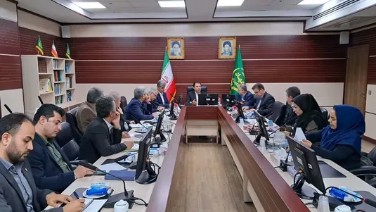 تدوین برنامه برای جهش تولید در صنعت نوغان