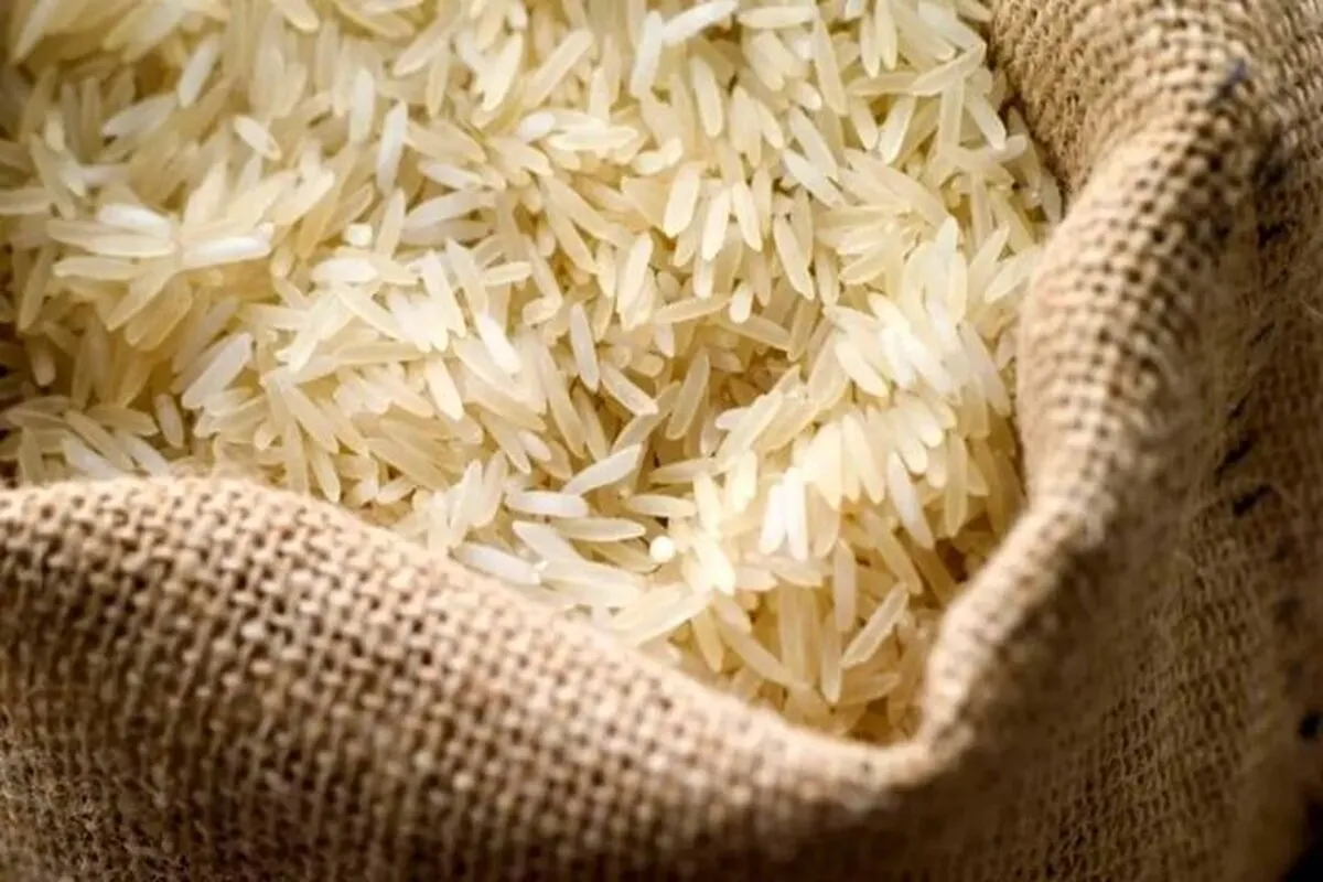 عرضه برنج در بازارگاه به زودی
