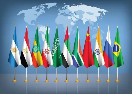 نشست مشترک روسای سازمان&zwnj;های مالیاتی کشورهای عضو بریکس برگزار شد
