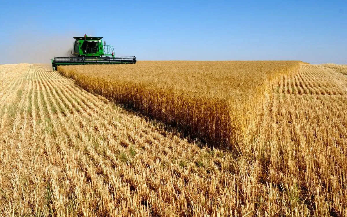 ارز ترجیحی به برنج نمی‌رسید قیمت آن امروز پایین‌تر بود