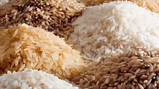 بی&zwnj;اعتنایی بانک مرکزی به تصمیمات ارزی دولت در حوزه واردات برنج