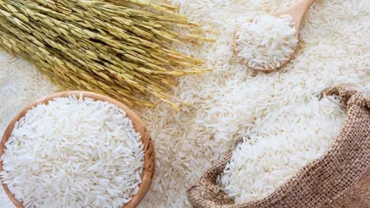 قیمت برنج تا دو هفته آینده کاهش می&zwnj;یابد