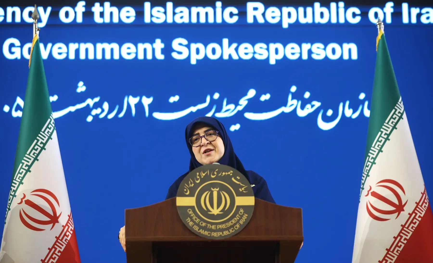 سخنگوی دولت