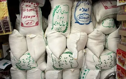 بازار برنج در دو راهی واردات و تولید داخلی؛ دولت مراقب التهاب قیمت باشد
