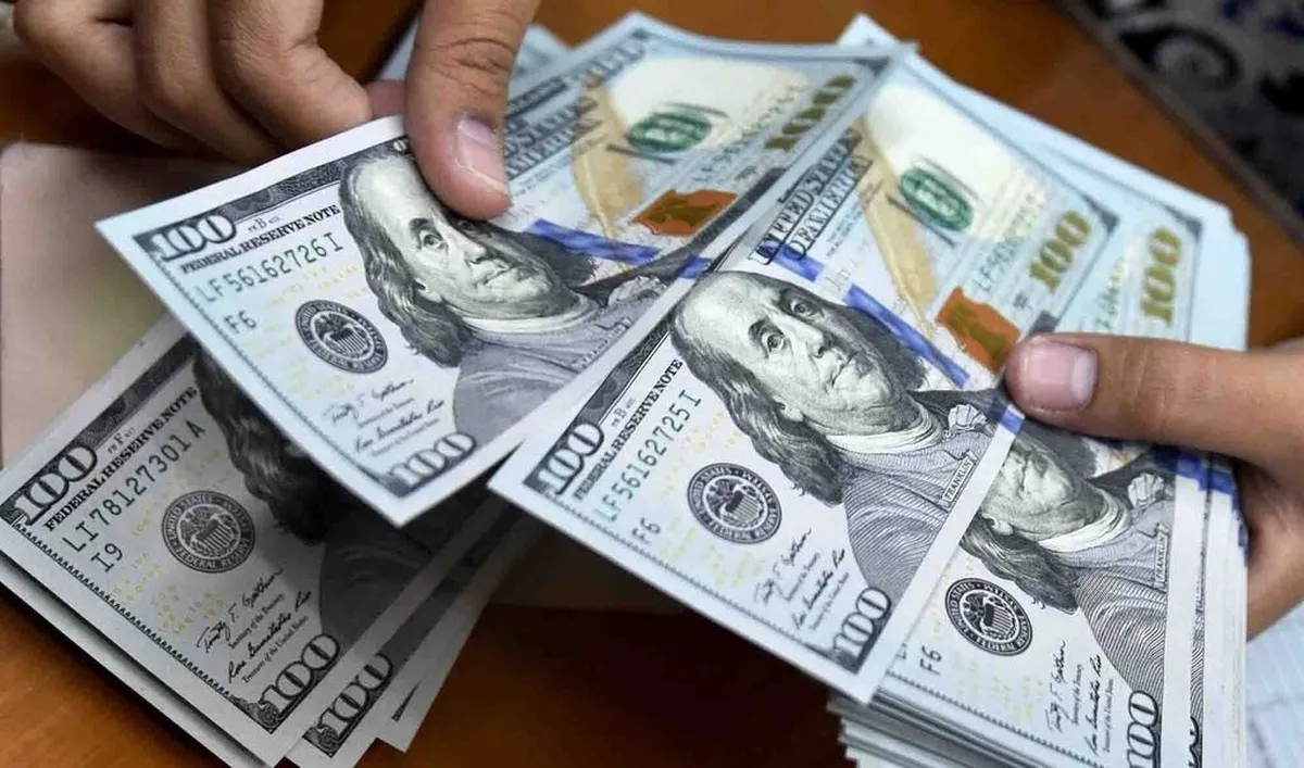 صف‌های طولانی تخصیص ارز تولید کشور را مختل کرده است