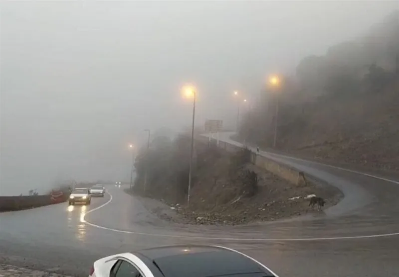 تردد جاده ای