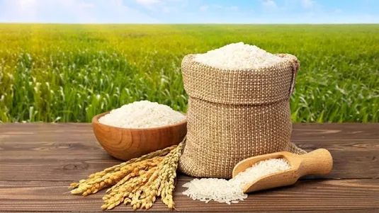 تاخیر در تخصیص ارز امنیت غذایی را تهدید می&zwnj;کند