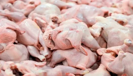 قیمت جدید گوشت مرغ امروز ۱ مهر ۱۴۰۵