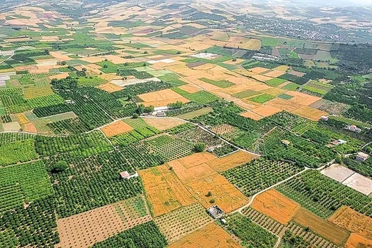 وسعت ۷۰ درصد زمین&zwnj;های کشاورزی کشور کمتر از ۷۰۰ متر است