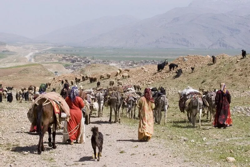 بیمه عشایر