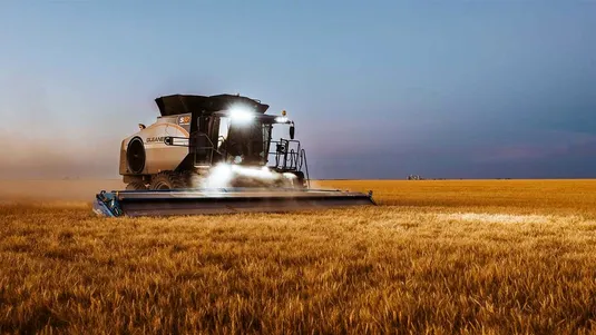 جهش قیمت جهانی گندم در راه است