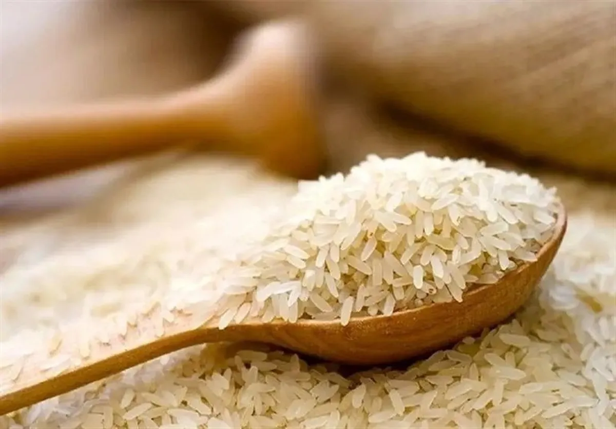 توزیع ۱۵۰ هزار تن برنج‌ هندی و پاکستانی در بازار با قیمت مصوب