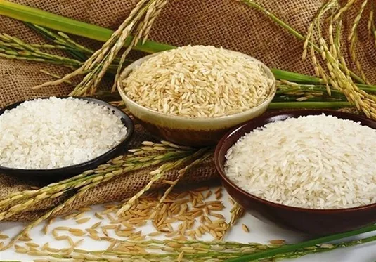 امسال با وجود خشکسالی ۱.۸ میلیون تن برنج تولید می&zwnj;شود
