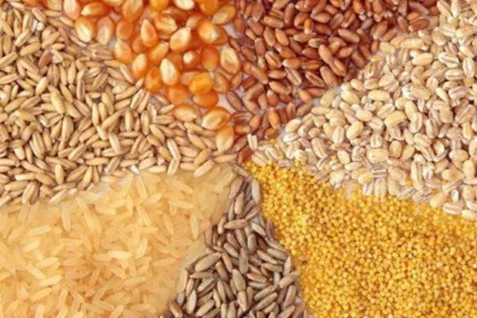 کاهش ارز نفتی و انحصار بازار، تامین نهاده&zwnj;ها را مشکل کرده است