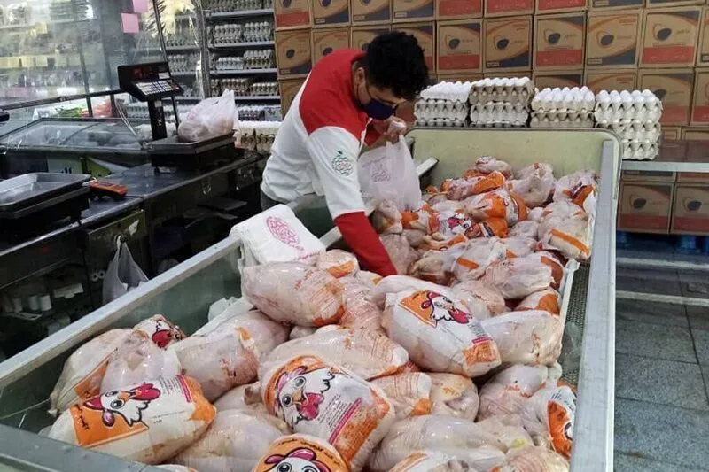 قیمت مرغ
