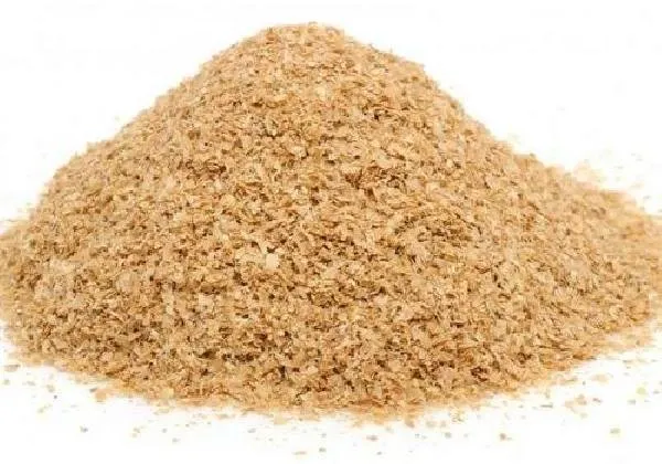 سبوس
