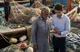 منطق اقتصادی طرح «اتصال»؛ اشتغال پایدار بدون تزریق پول
