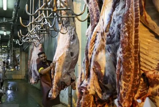 عرضه ۴۱ هزار تن گوشت قرمز در کشتارگاه&zwnj;های رسمی