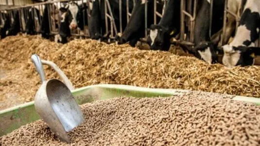 خیز طلای جهانی برای ۵۰۰۰ دلاری شدن