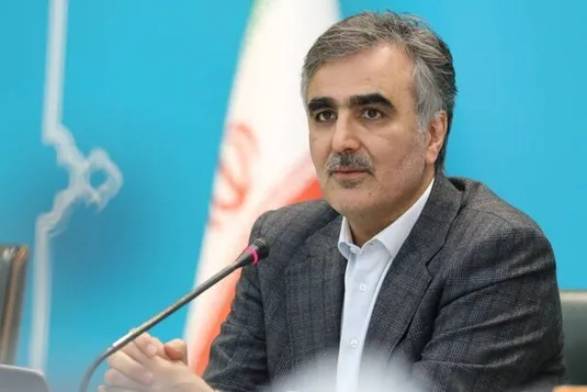 فرزین: مدنی&zwnj;زاده گزینه&zwnj;ای مناسب برای اقتصاد است