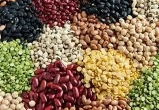 کاهش قیمت حبوبات/ برنج ایرانی در بنکداری 210 تا 320 هزار تومان