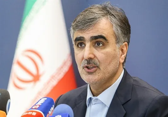 فرزین: پلتفرم&zwnj;تسویه پرداخت&zwnj;های فرامرزی بریکس ایجاد شود