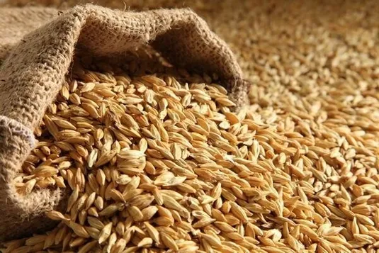 ثبت سفارش جدید جو فردا آغاز می&zwnj;شود
