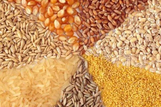 سقف جدید نرخ ارز نهاده&zwnj;های دام و طیور اعلام شد