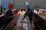 مجتمع معدنی و صنعتی مس سونگون ورزقان