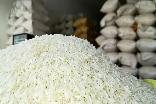 ابلاغ مجدد لغو ممنوعیت ترخیص برنج در فصل برداشت
