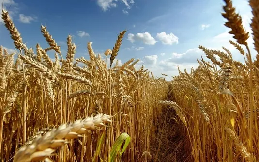 دیمزار&zwnj;ها پشتیبان امنیت غذایی کشور