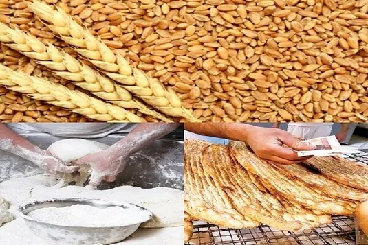 یارانه آرد و نان برای افزایش کارایی و شفافیت بیشتر تفکیک شود