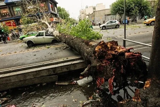 همه چیز درباره طوفان تهران