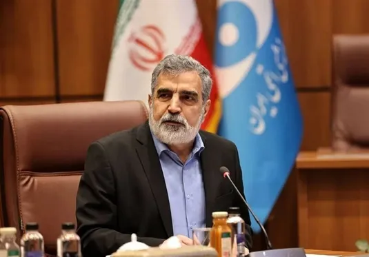 کمالوندی: صنعت هسته&zwnj;ای در کشور ما ریشه دارد