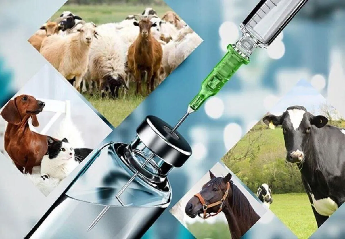 صادرات ۹۰ میلیارد تومانی واکسن‌ در نیمه نخست امسال
