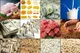چه کشورهایی با تورم مواد غذایی مواجه هستند؟