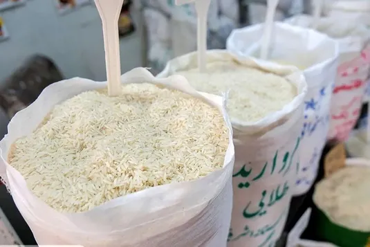 ثبت سفارش برنج هندی هفته آینده آغاز می&zwnj;شود