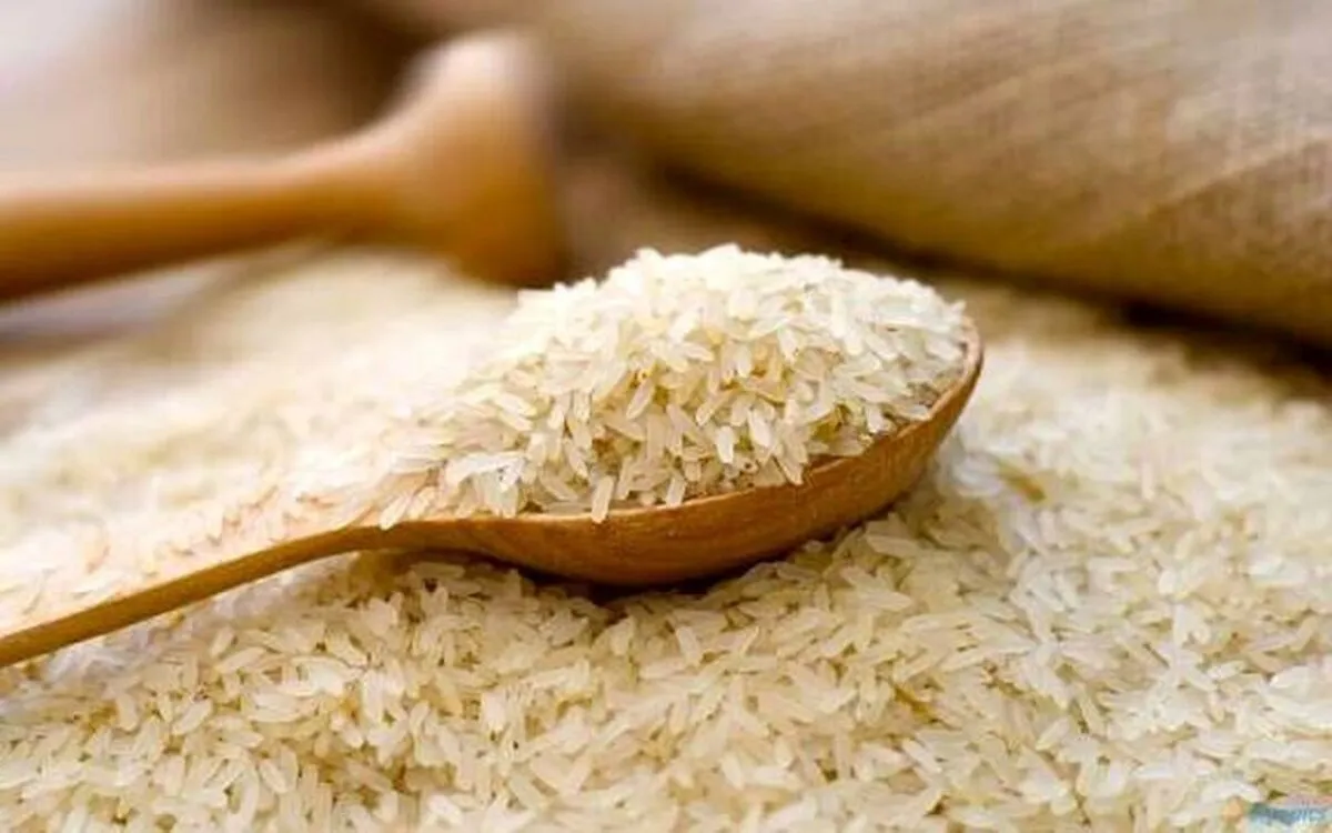 ثبت سفارش واردات برنج آغاز شد+ قیمت برنج
