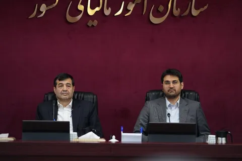 وزارت ورزش و جوانان در جذب منابع درآمدی پایدار پیشرو است