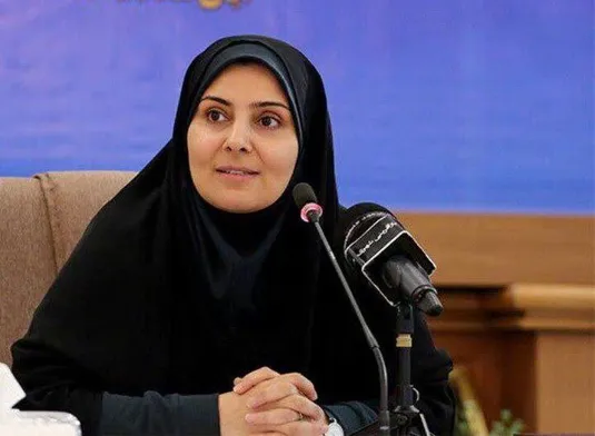 صادق: به تعرفه&zwnj;های سنگین واردات خودرو نه می&zwnj;گوییم