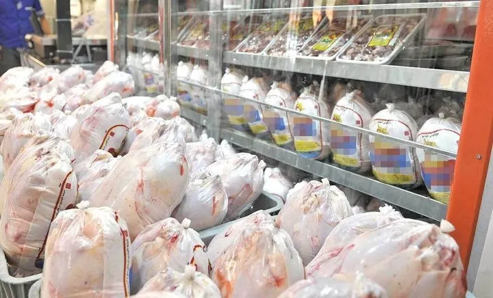 قیمت مرغ
مرغ