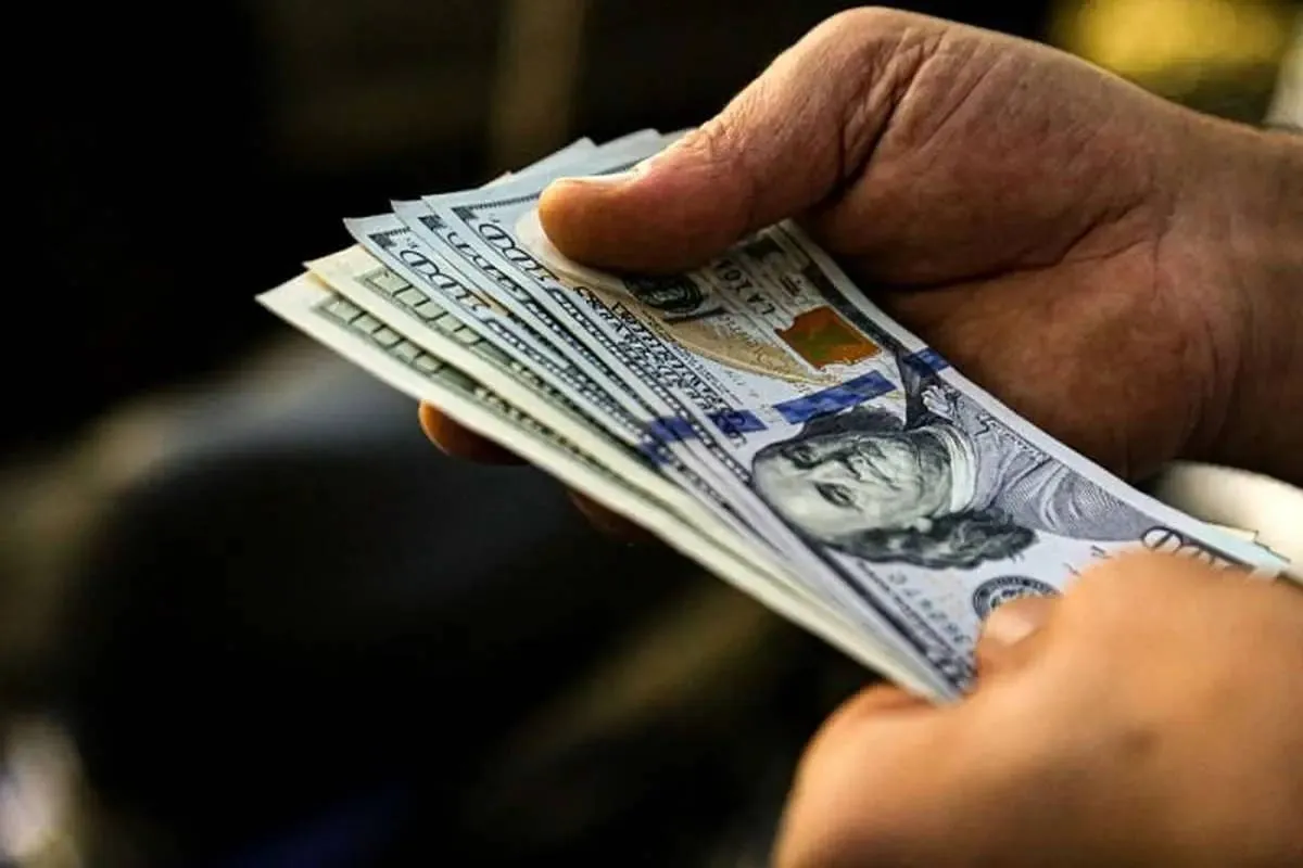بانک مرکزی از نرخ‌گذاری ارز کنار برود؛ بازار قیمت را تعیین می‌کند