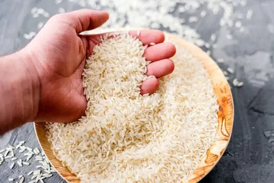 افزایش ۱۶ درصدی تولید برنج در کشور