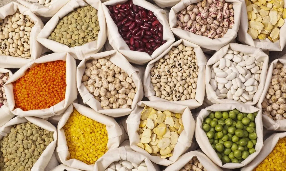 نرخ خرید تضمینی برنج و حبوبات، در هفته جاری تعیین می‌شود