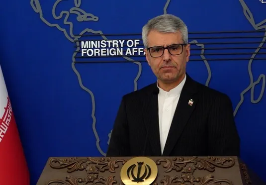 بقائی: آمریکا باید پاسخگوی جنایات خود در ایران باشد