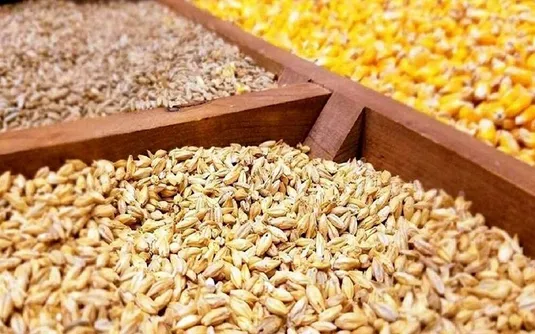 ذخایر نهاده&zwnj;های دامی در انبارها به اندازه کافی است