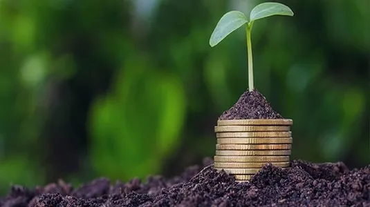 بیمه فراگیر محصولات کشاورزی از ابتدای ۱۴۰۴ اجرا می&zwnj;شود
